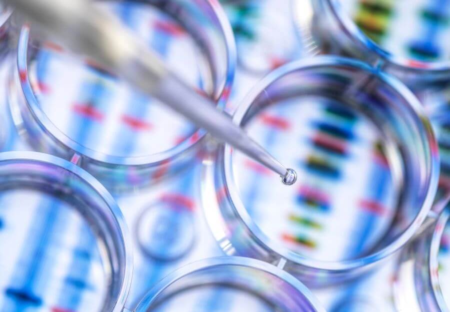 VSEL stem cells and their role in human tissue regeneration