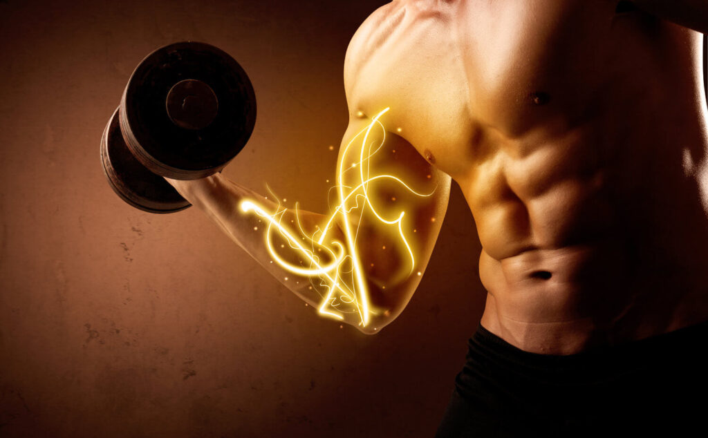 Follistatin for Muscle Growth: What Science, Performance, and Medicine Really Say